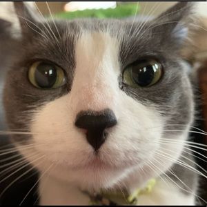 Meet your Posher, Emma